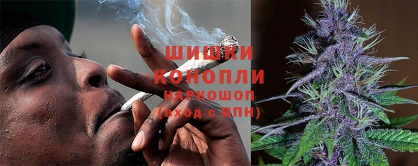 гидра Гусев