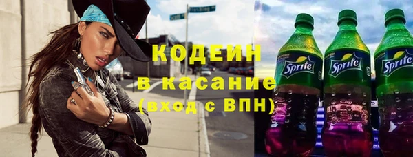 гидра Гусев