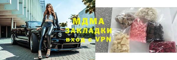 гидра Гусев
