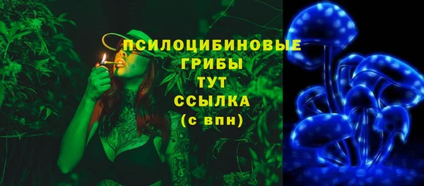 гидра Елизово