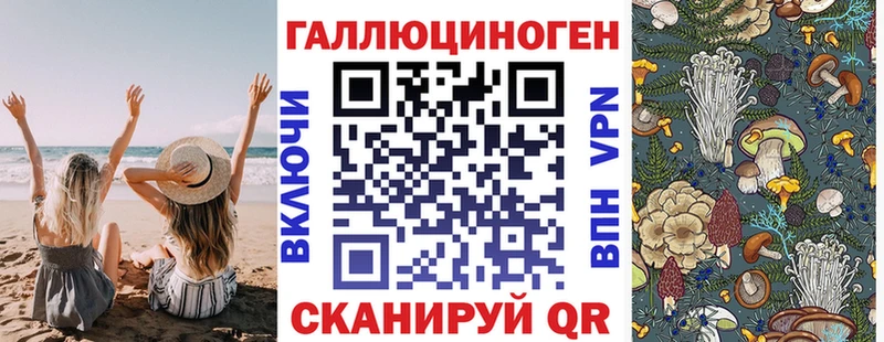 Псилоцибиновые грибы GOLDEN TEACHER  Купить  Каменка 